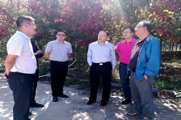 云顶集团·(中国大陆)唯一官方网站