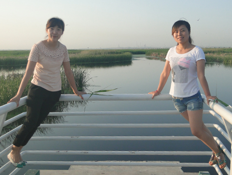 im电竞·(中国)电子竞技平台