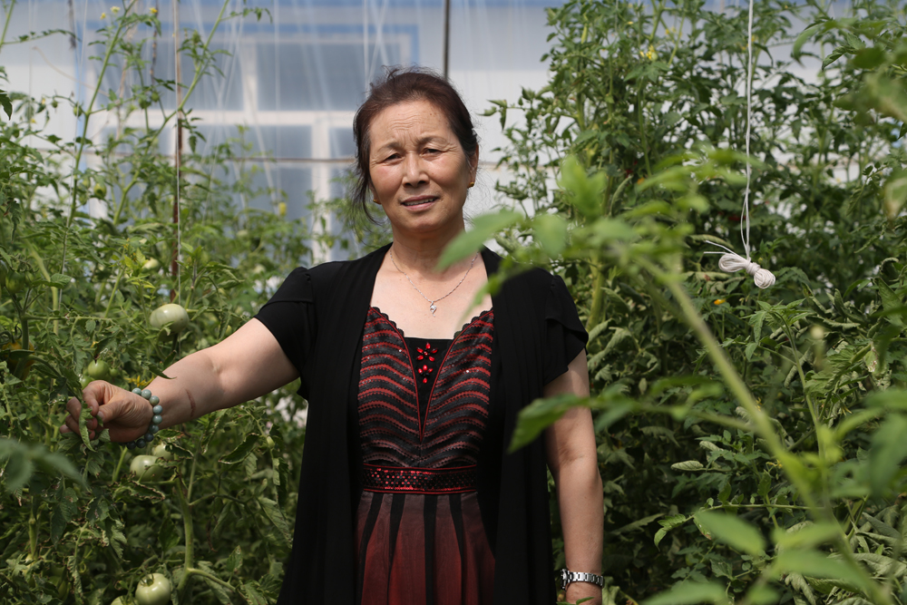 im电竞·(中国)电子竞技平台