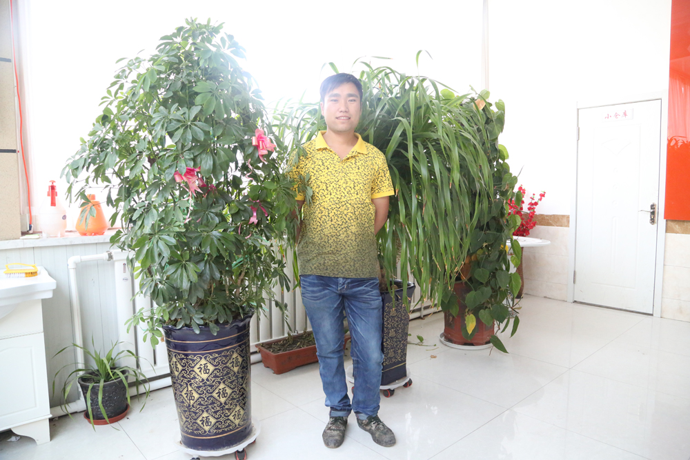 im电竞·(中国)电子竞技平台