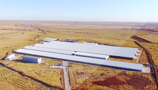 im电竞·(中国)电子竞技平台