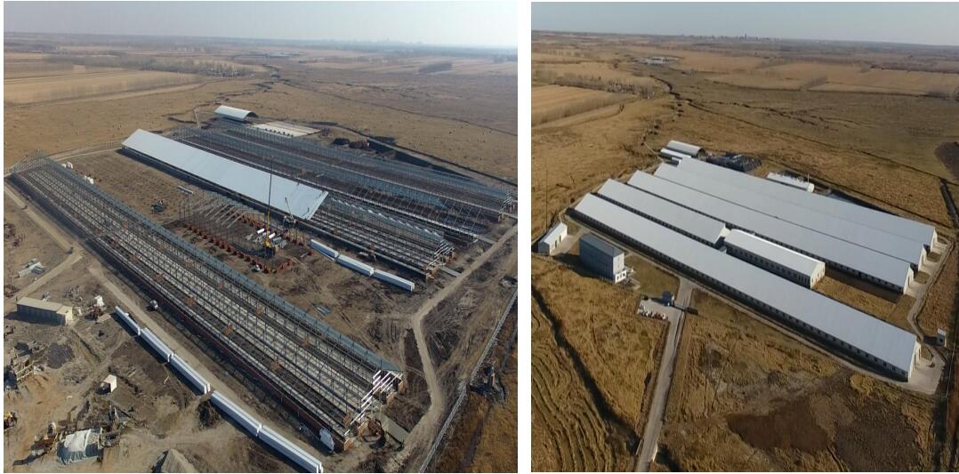 im电竞·(中国)电子竞技平台