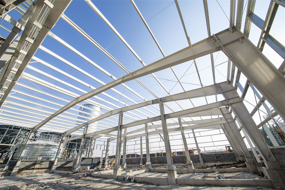 im电竞·(中国)电子竞技平台