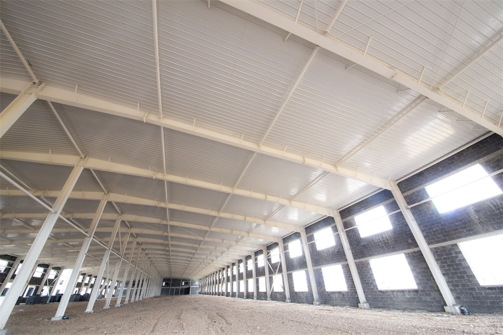 im电竞·(中国)电子竞技平台